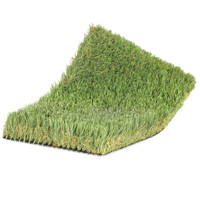 ECO D