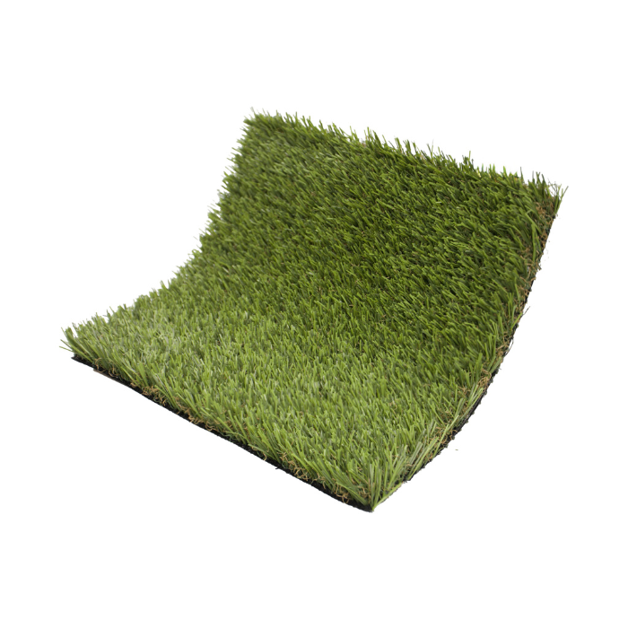 ECO P