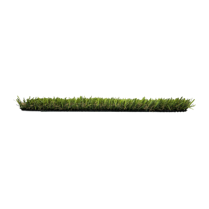 ECO P