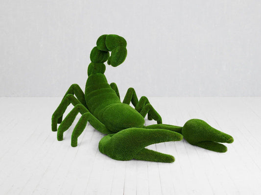 Turf Scorpion