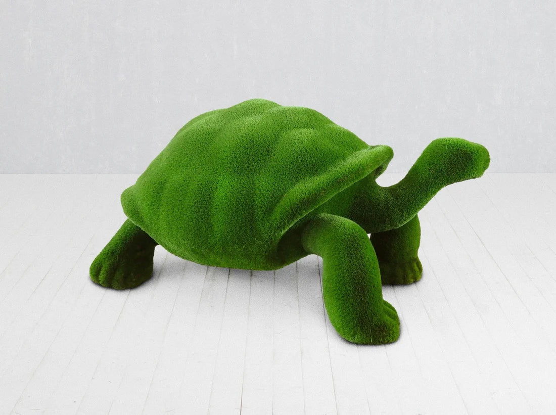 Turf Turtle