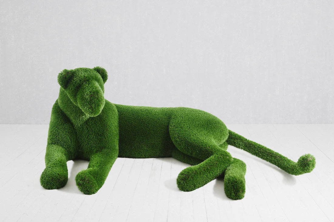 Turf Lioness