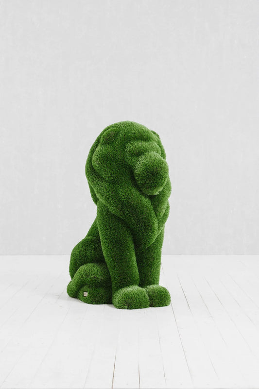 Turf Sitting Lion
