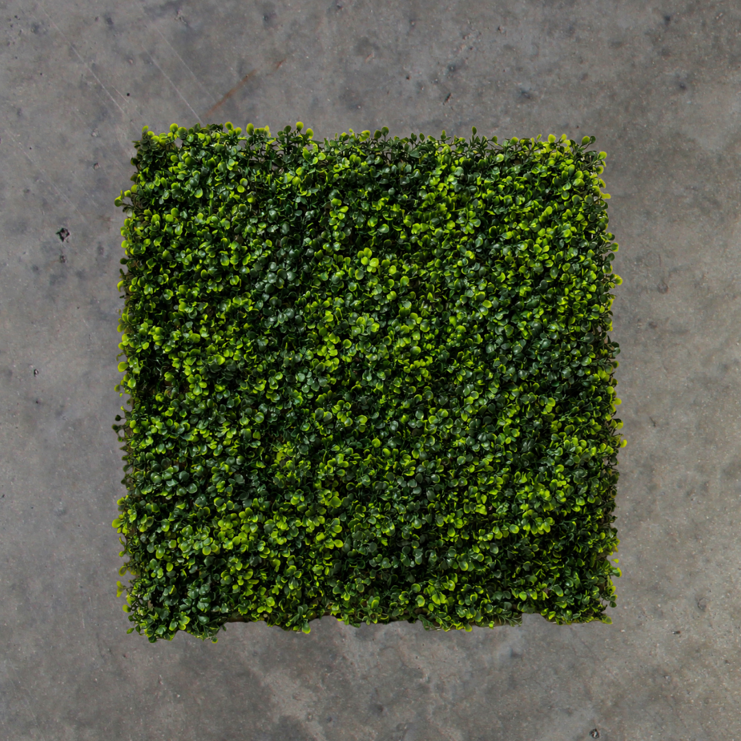 Ivy Boxwood Panels